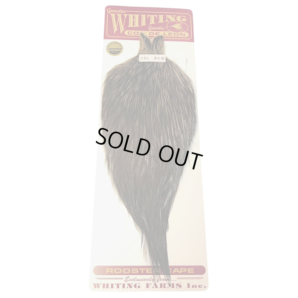 画像1: WHITING　Coq de Leon　Rooster Cape　ルースターケープ　ブラック　RC14　ホワイティング　 (1)