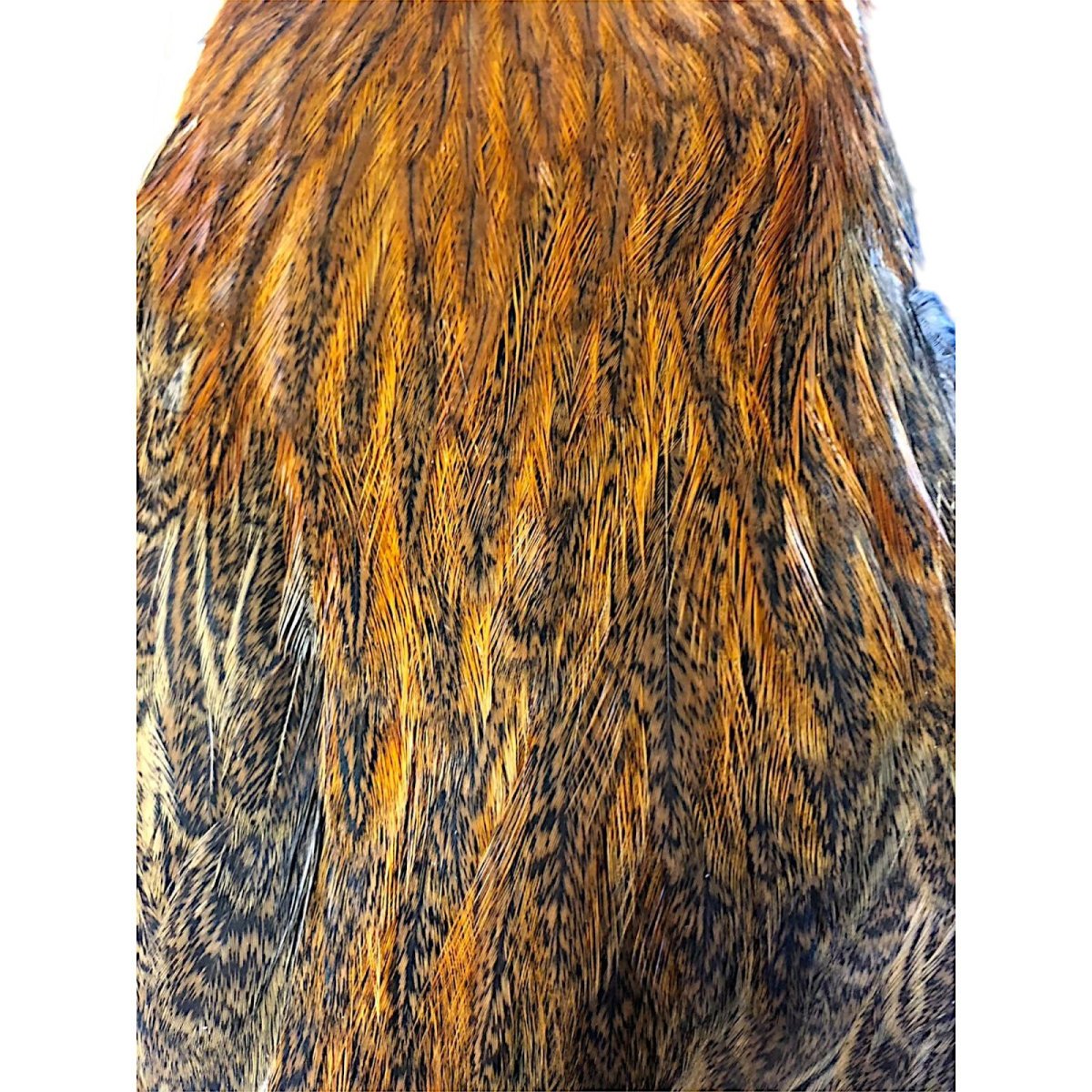 画像3: WHITING Coq de Leon Hen Cape ヘンケープ ジンジャースペックルド  HC4 ホワイティング  (3)