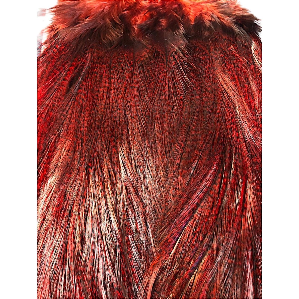 画像2: WHITING Coq de Leon Rooster Saddle ルースターサドル ダイドレッド Bronze Grade  BS3 ホワイティング  (2)