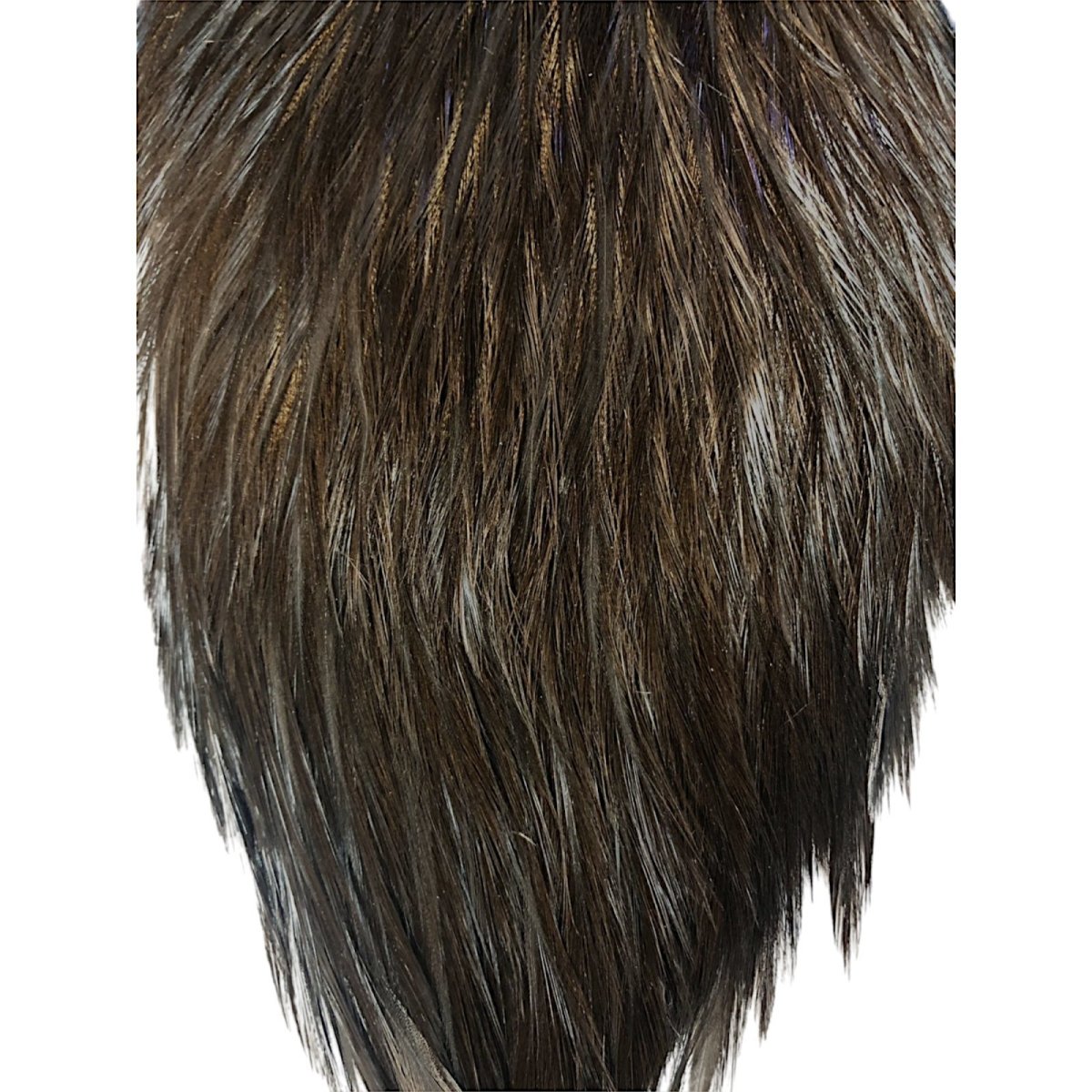 画像3: WHITING Coq de Leon Rooster Cape ルースターケープ ブラック RC13 ホワイティング  (3)