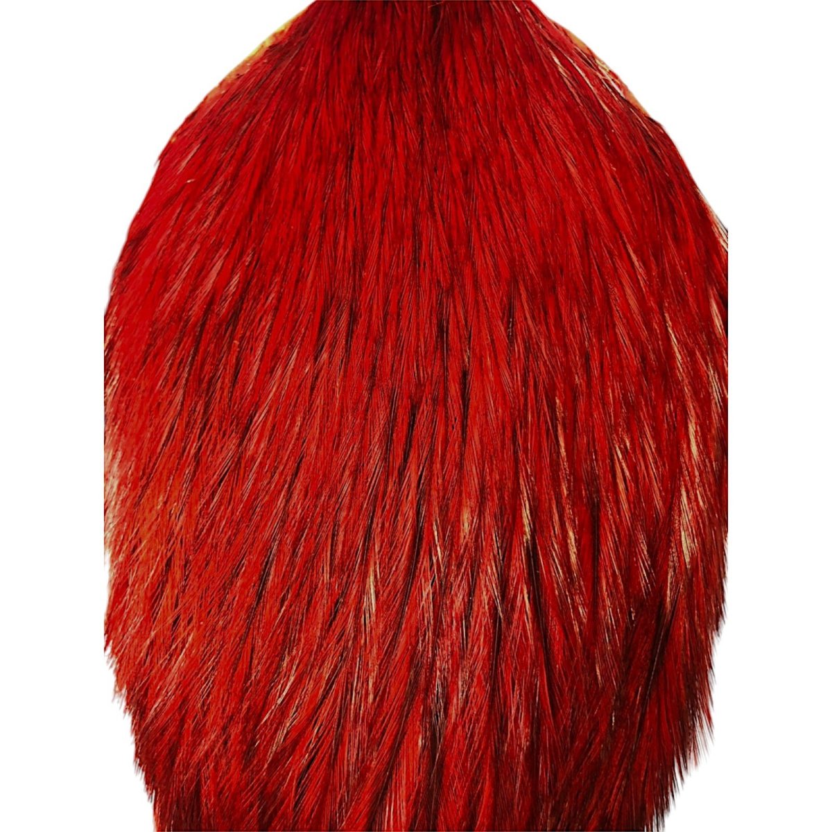 画像2: WHITING Coq de Leon Rooster Cape ルースターケープ ダイドレッド RC24 ホワイティング  (2)