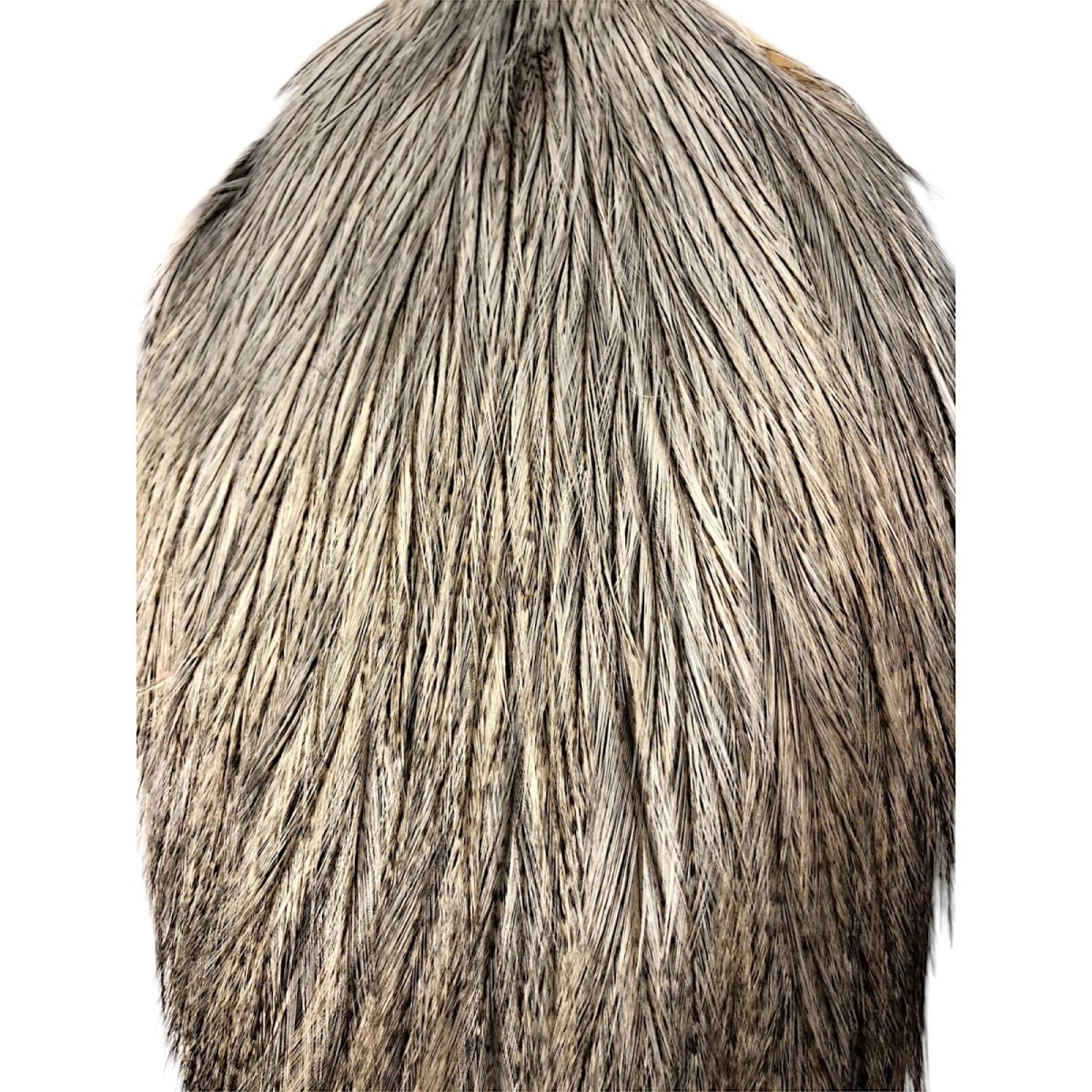 画像2: WHITING Coq de Leon Rooster Cape ルースターケープ クリームバジャー RC20 ホワイティング  (2)