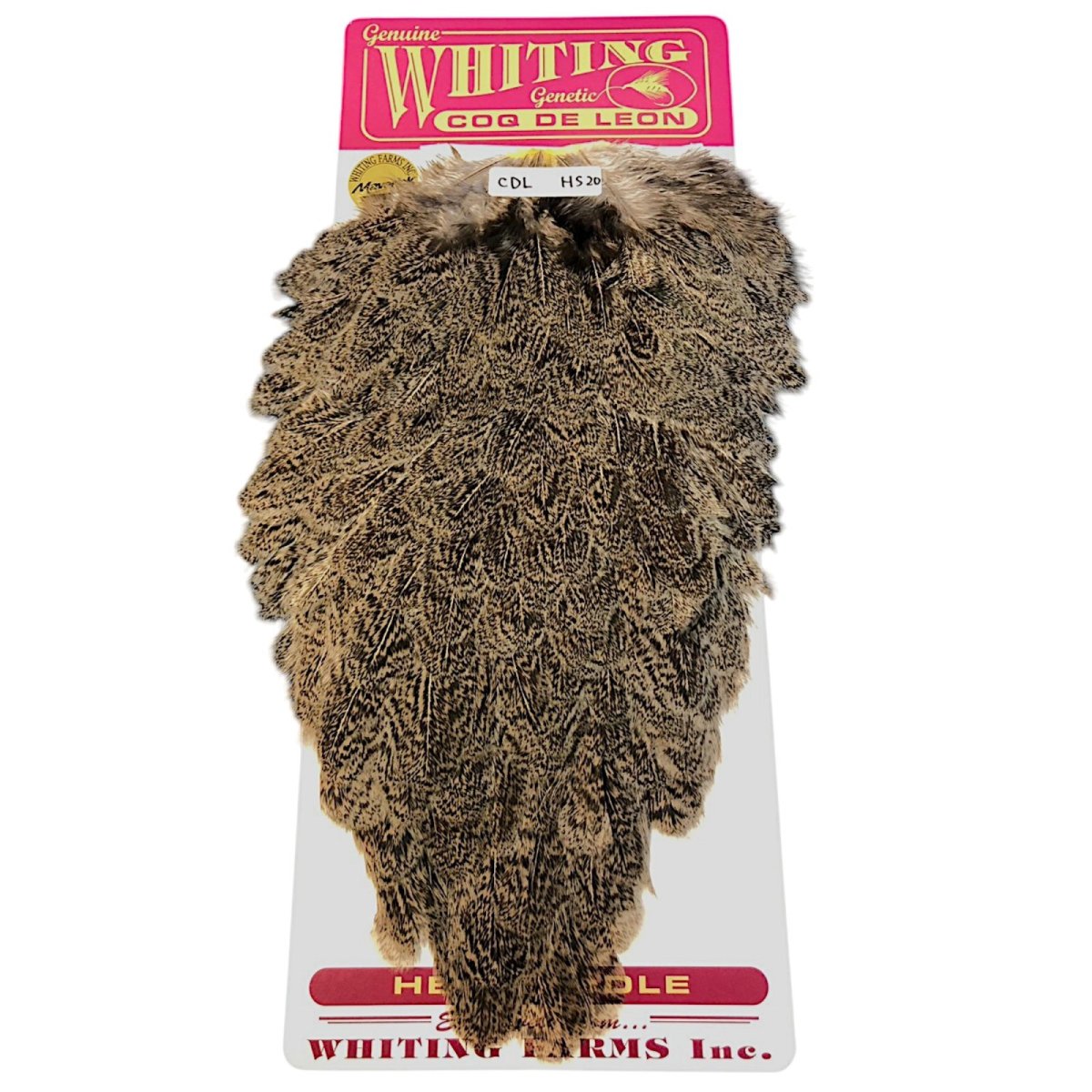 画像1: WHITING　Coq de Leon　Hen Saddle　ヘンサドル　ブラウンスペックルド　HS20　ホワイティング　 (1)