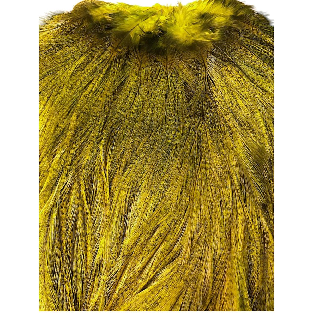 画像2: WHITING Coq de Leon Rooster Saddle ルースターサドル FLイエローチャート Bronze Grade  BS11 ホワイティング  (2)