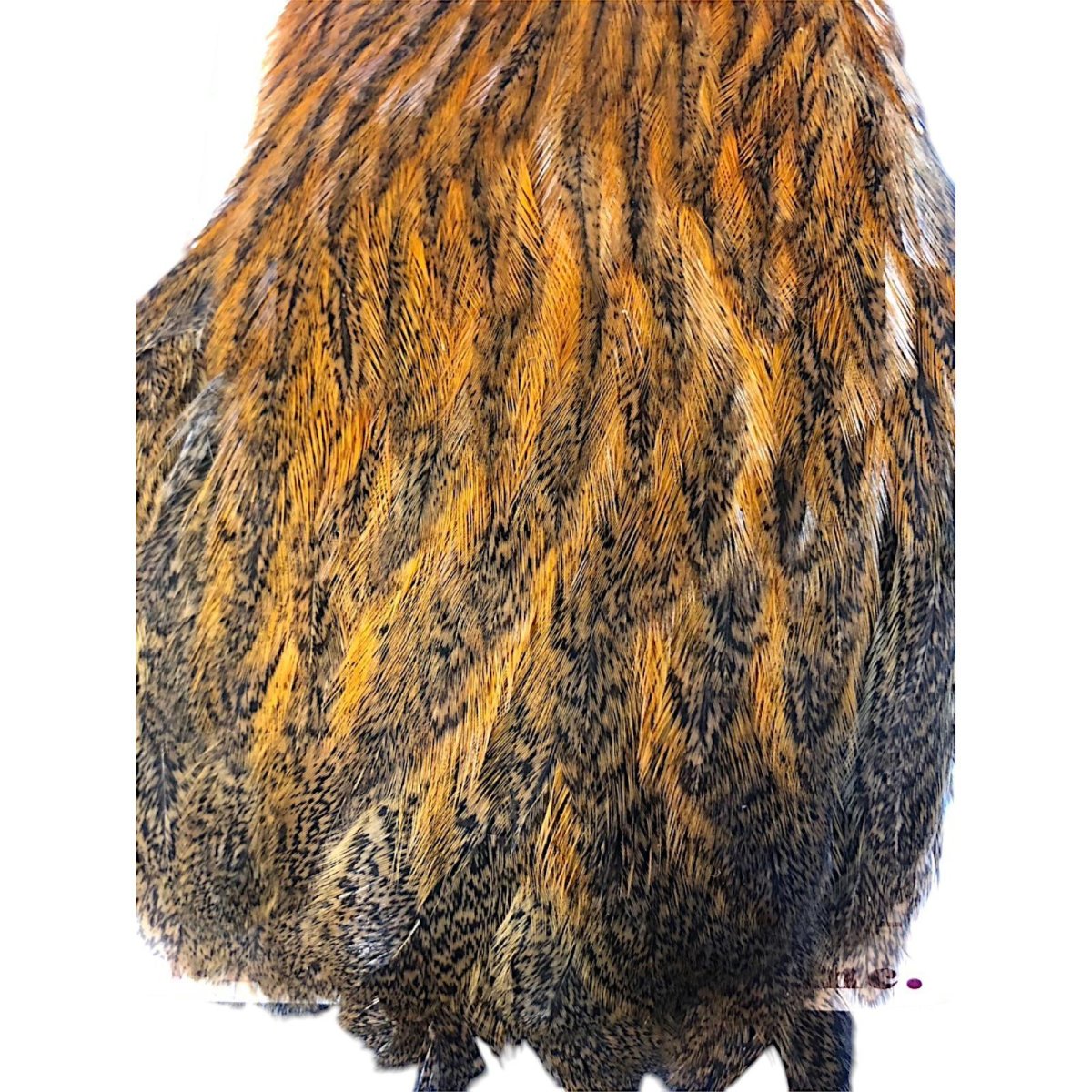 画像3: WHITING Coq de Leon Hen Cape ヘンケープ ジンジャースペックルド  HC3 ホワイティング  (3)