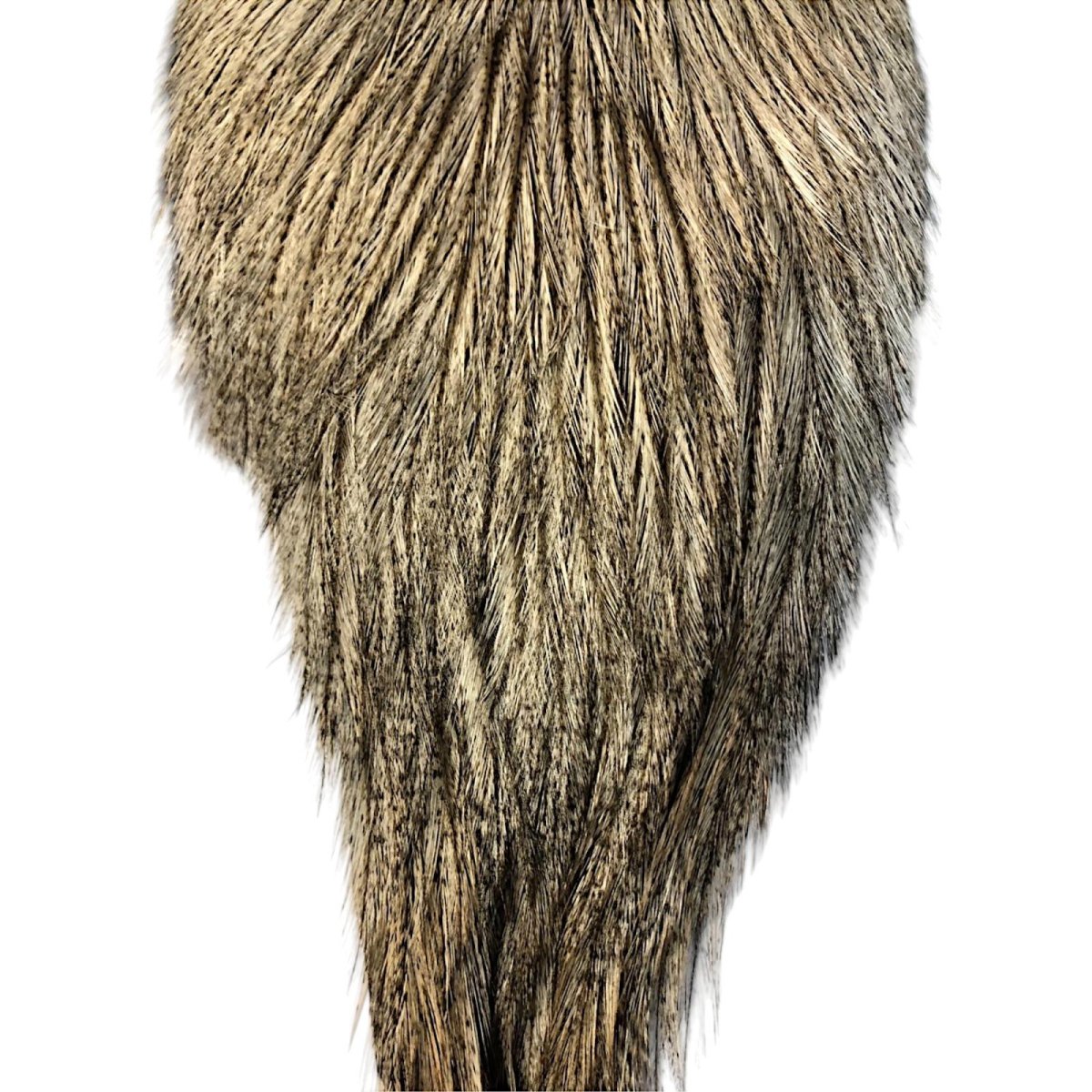 画像3: WHITING Coq de Leon Rooster Cape ルースターケープ クリームバジャー RC17 ホワイティング  (3)