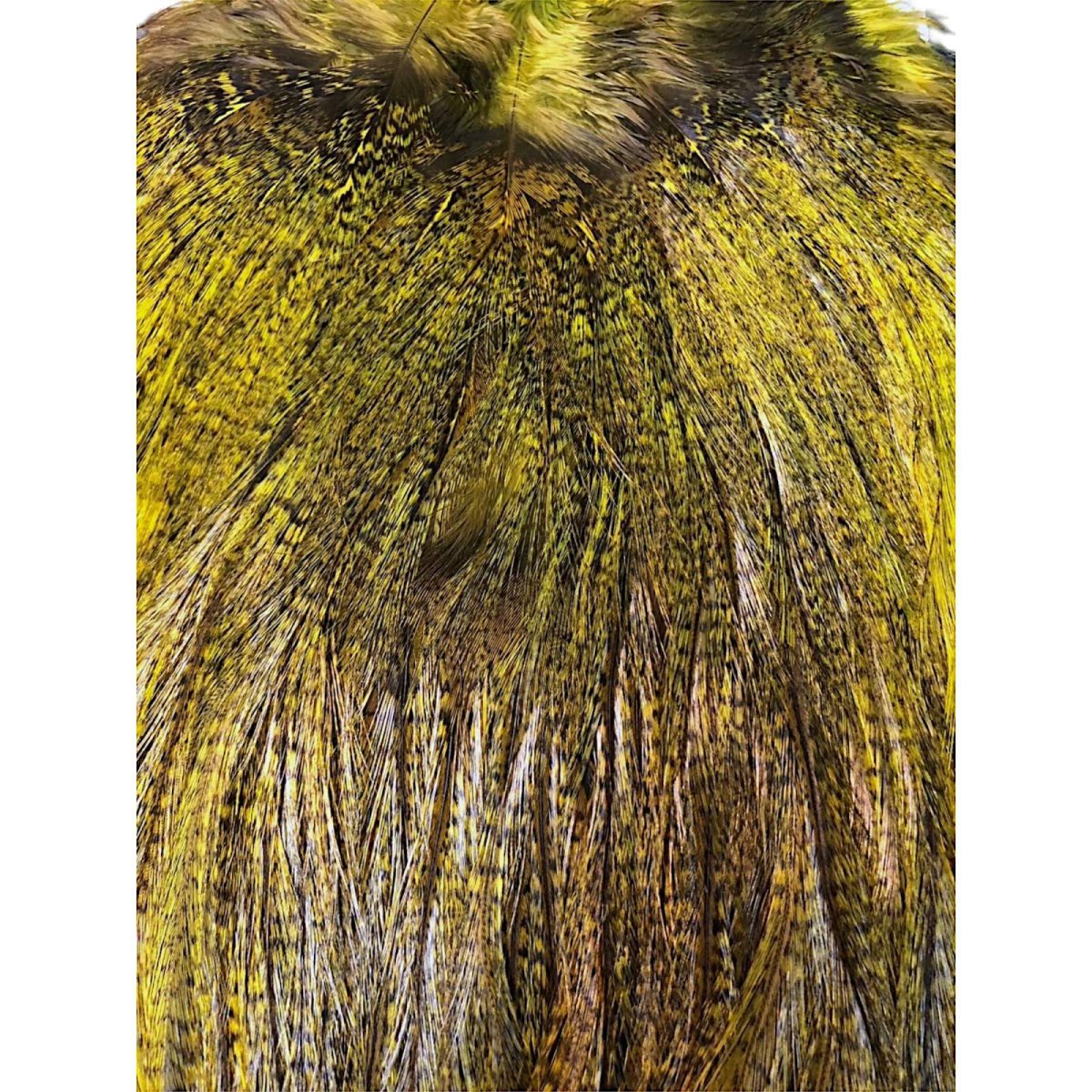 画像2: WHITING Coq de Leon Rooster Saddle ルースターサドル FLイエローチャート Bronze Grade  BS12 ホワイティング  (2)