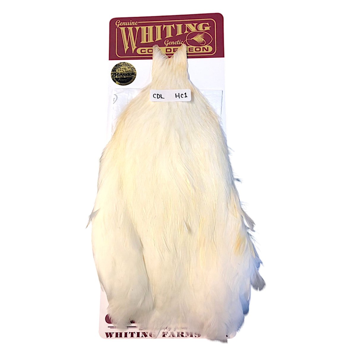 画像1: WHITING　Coq de Leon　Hen Cape　ヘンケープ　ホワイト 　HC1　ホワイティング　 (1)
