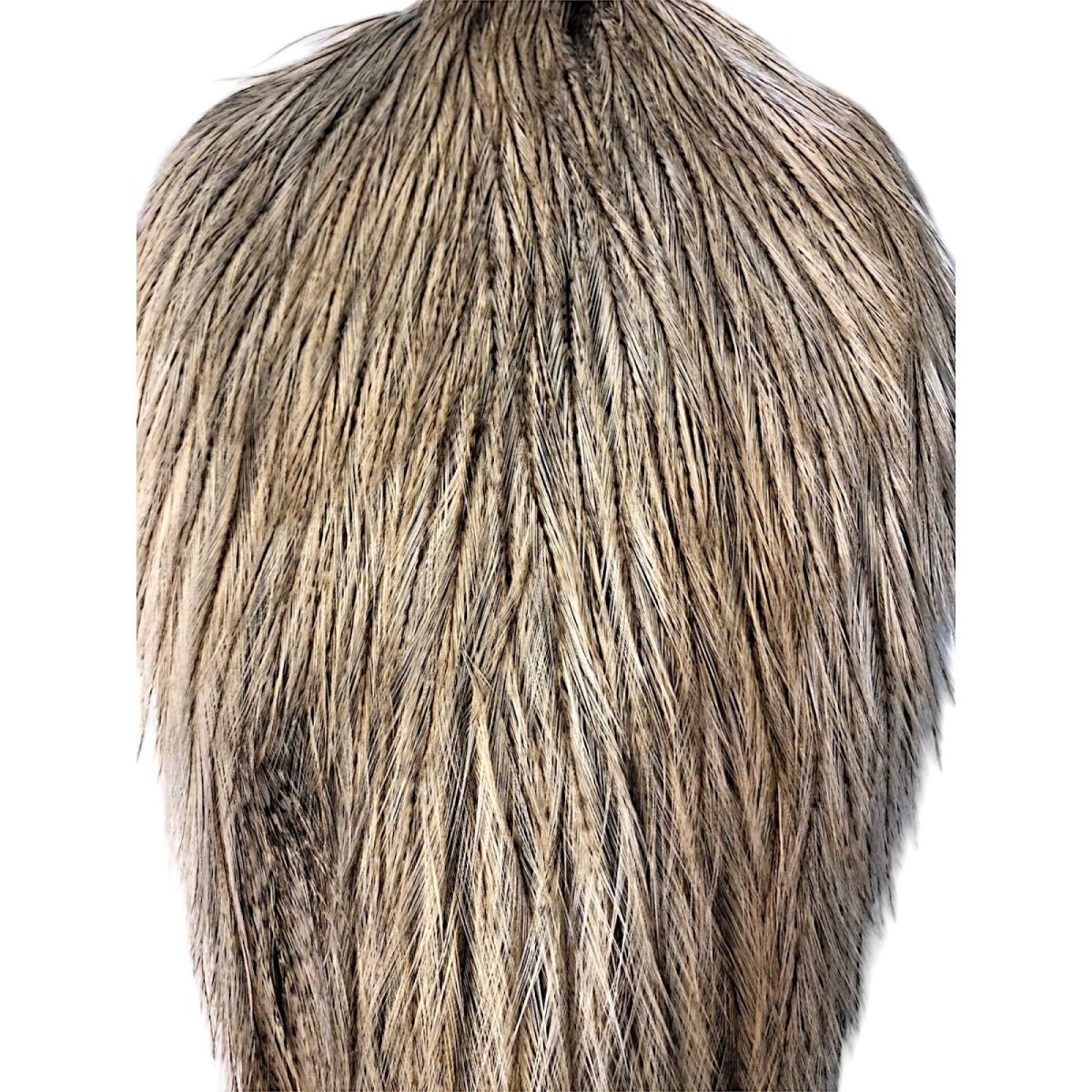 画像2: WHITING Coq de Leon Rooster Cape ルースターケープ クリームバジャー RC22 ホワイティング  (2)