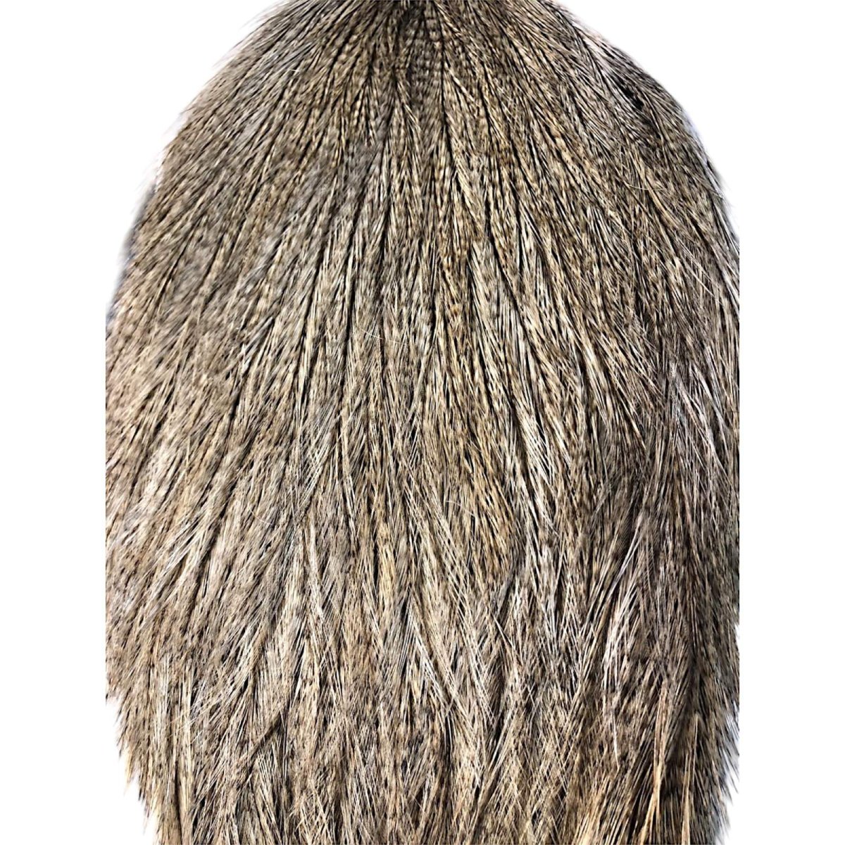 画像2: WHITING　Coq de Leon　Rooster Cape　ルースターケープ　ライトパルド　RC10　ホワイティング　 (2)