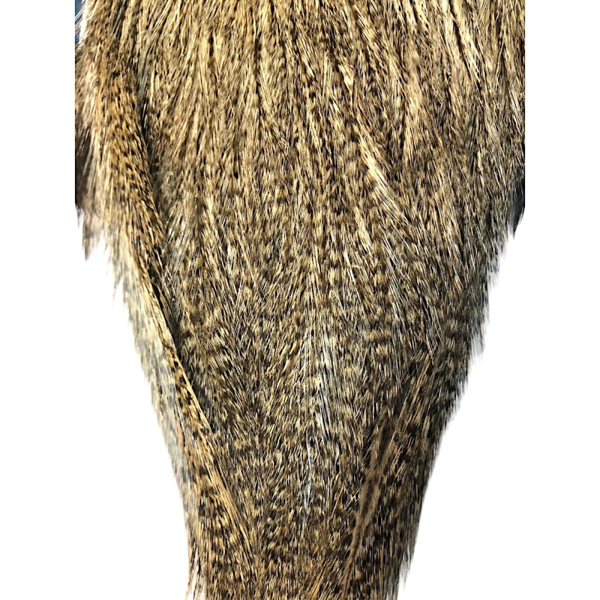 画像3: WHITING Coq de Leon Rooster Cape ルースターケープ ライトパルド RC11 ホワイティング  (3)