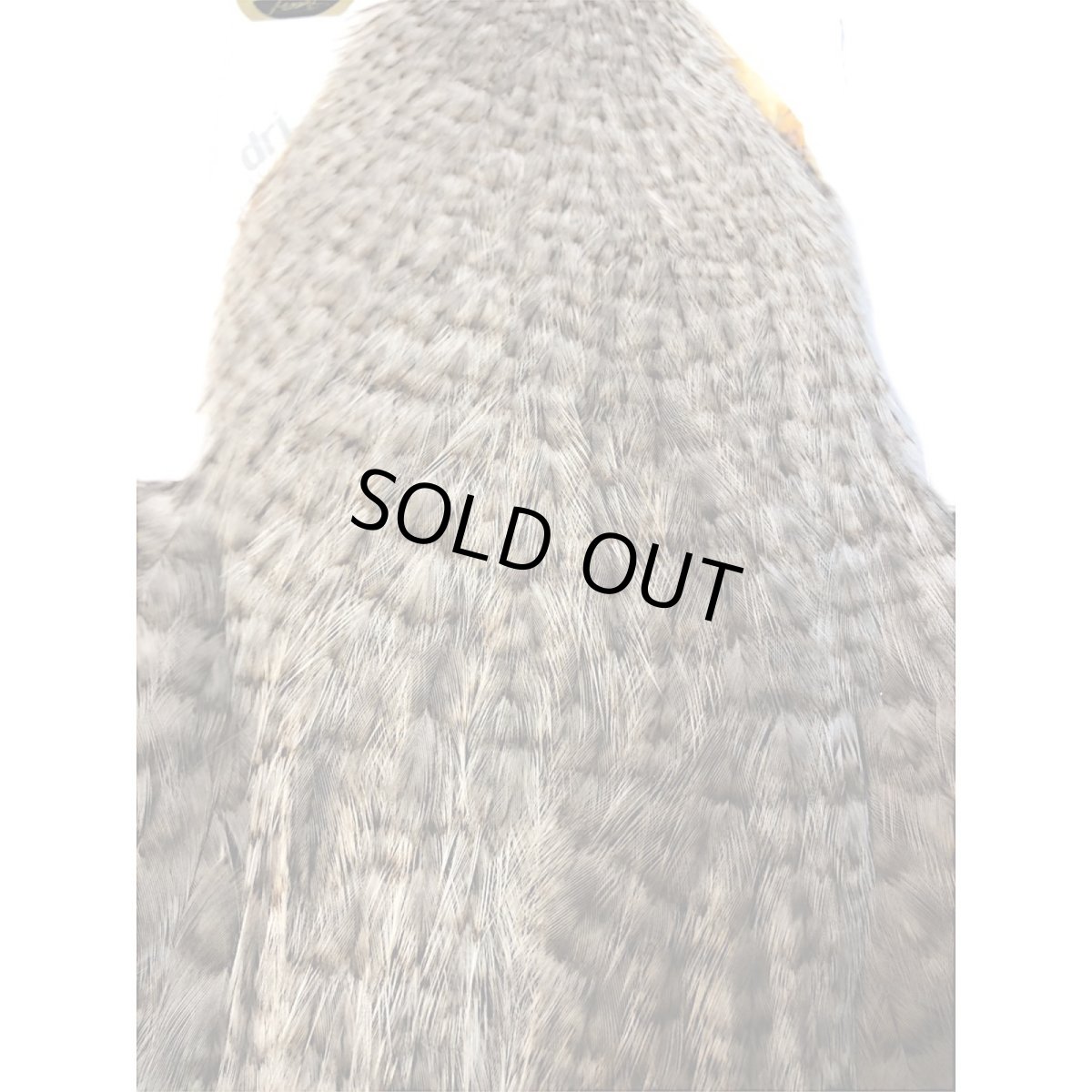 画像2: WHITING　Coq de Leon　Hen Cape　ヘンケープ　ユニークバリアント　HC11　ホワイティング　 (2)