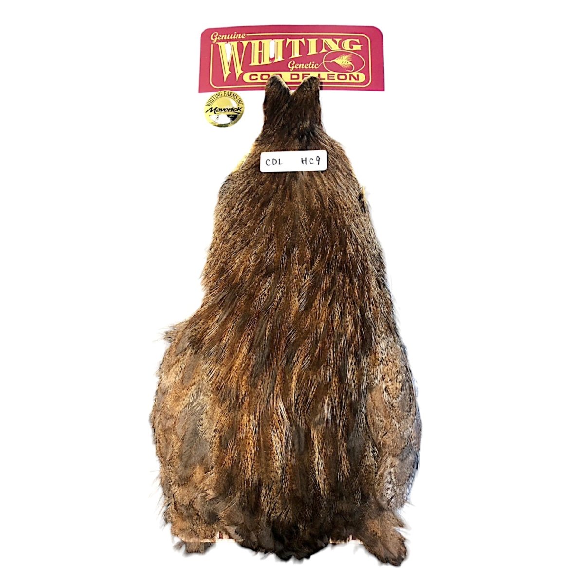 画像1: WHITING　Coq de Leon　Hen Cape　ヘンケープ　ユニークバリアント　HC9　ホワイティング　 (1)