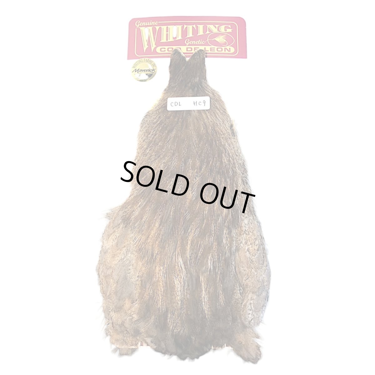 画像1: WHITING Coq de Leon Hen Cape ヘンケープ ユニークバリアント HC9 ホワイティング  (1)