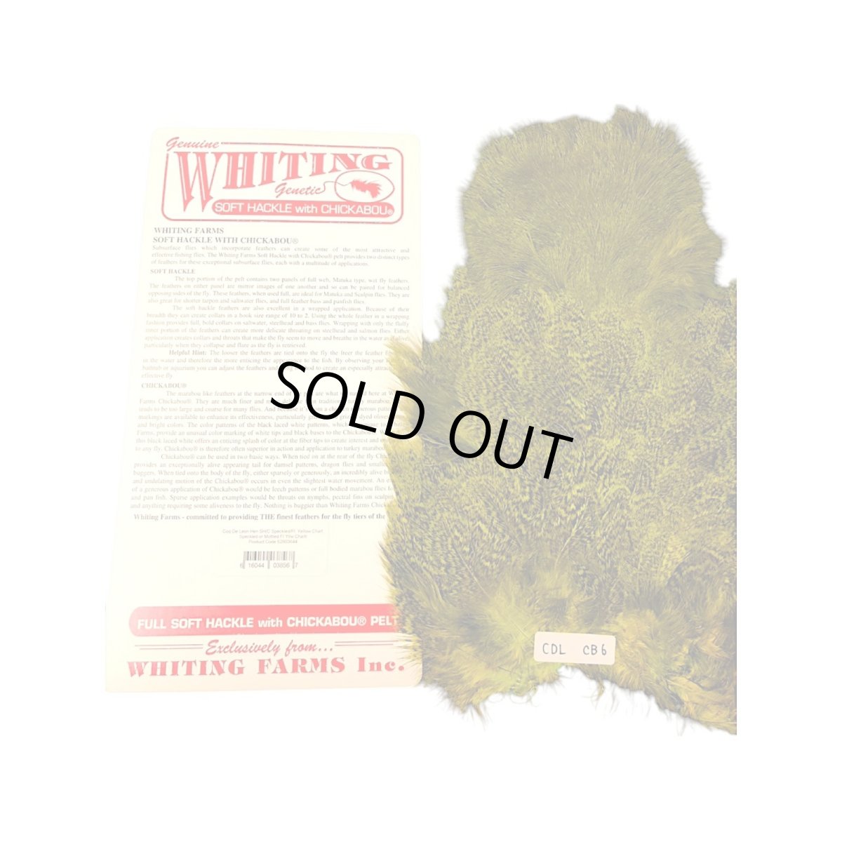 画像1: WHITING Coq de Leon Rooster & Hen Soft Hackle with Chickabou チカブー FLイエローチャート CB6 ホワイティング  (1)