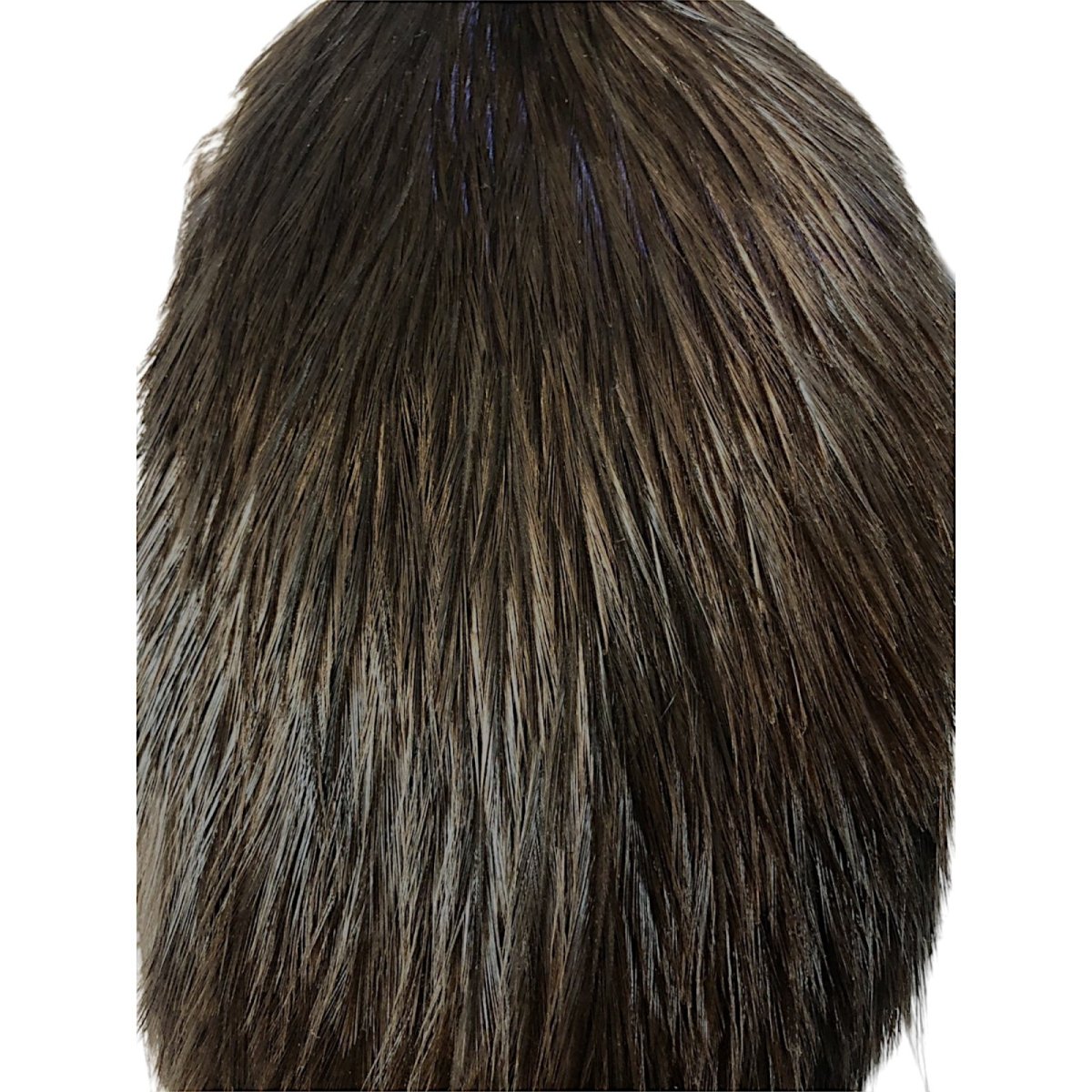 画像2: WHITING Coq de Leon Rooster Cape ルースターケープ ブラック RC16 ホワイティング  (2)