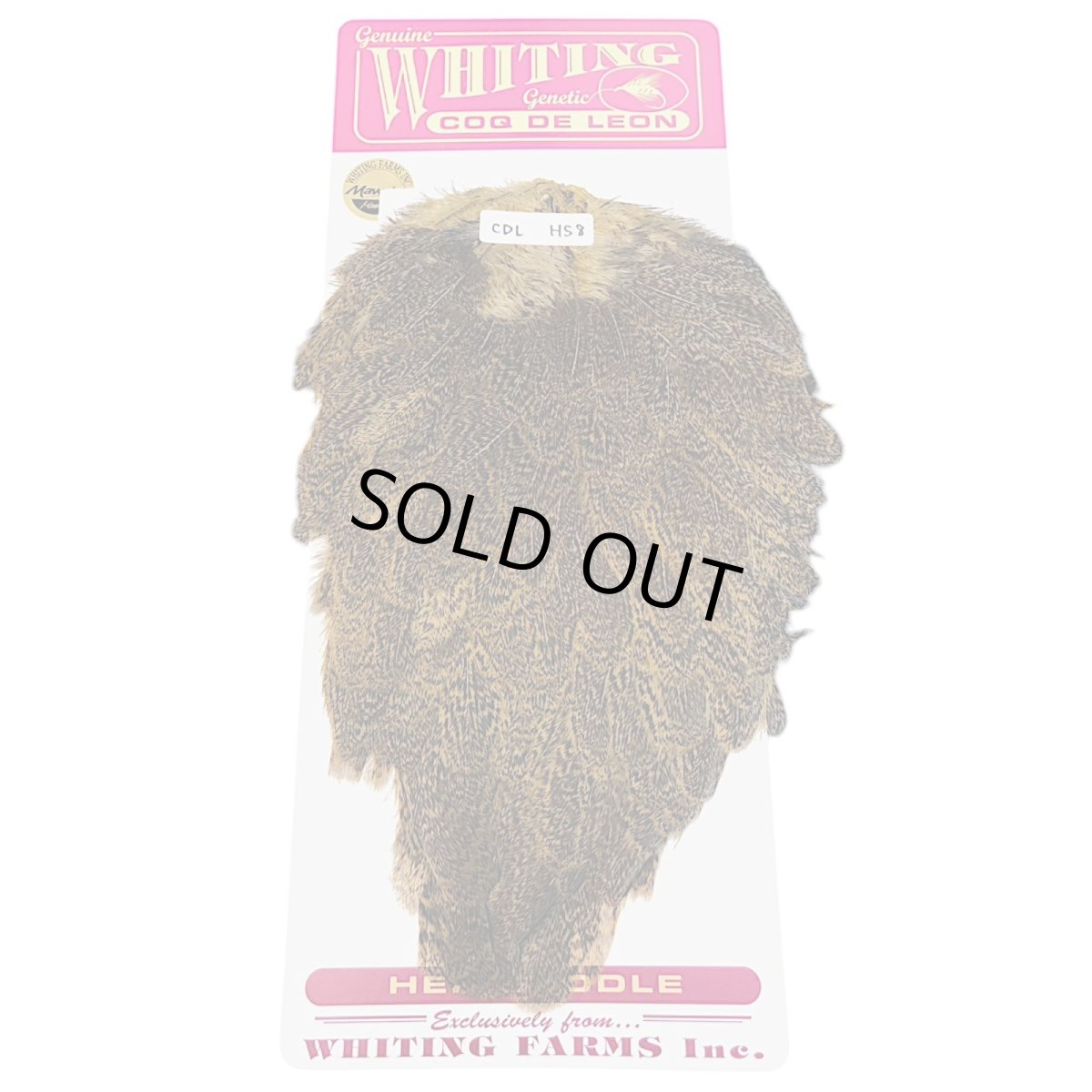 画像1: WHITING　Coq de Leon　Hen Saddle　ヘンサドル　ゴールデンオリーブ　HS8　ホワイティング　 (1)
