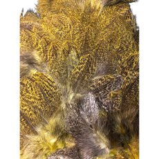 画像4: WHITING　Coq de Leon　Rooster & Hen Soft Hackle with Chickabou　チカブー　ダイドイエロー　CB11　ホワイティング　 (4)