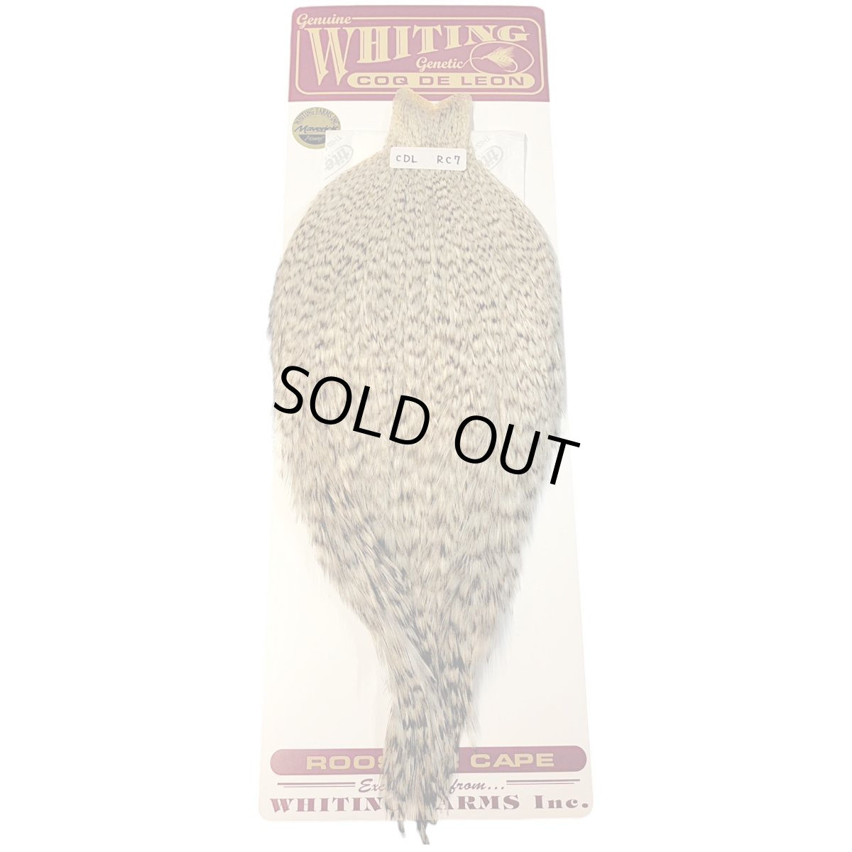 画像1: WHITING　Coq de Leon　Rooster Cape　ルースターケープ　グリズリーパルド　RC7　ホワイティング　 (1)