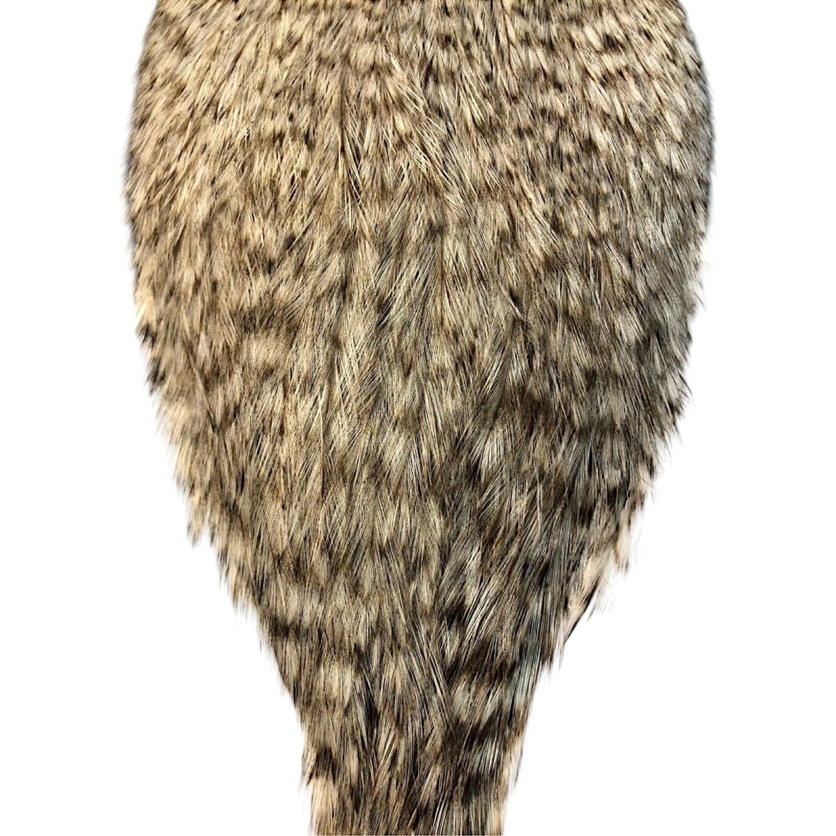 画像3: WHITING Coq de Leon Rooster Cape ルースターケープ グリズリーパルド RC8 ホワイティング  (3)