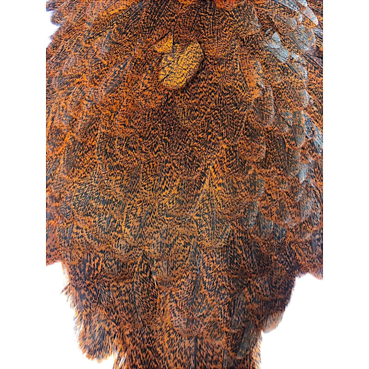 画像3: WHITING Coq de Leon Hen Saddle ヘンサドル オレンジ HS7 ホワイティング  (3)