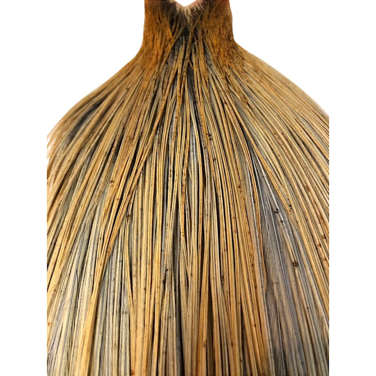 画像2: WHITING Rooster Cape ルースターケープ ライトジンジャー Silver Grade  SWC1 ホワイティング  (2)