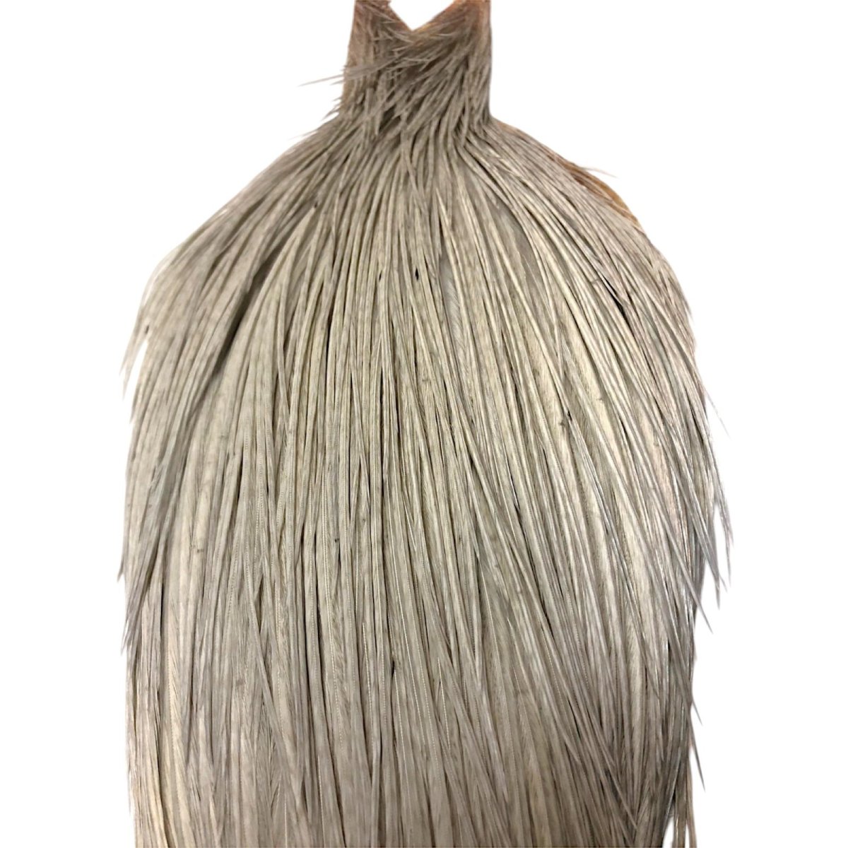 画像2: WHITING Rooster Cape ルースターケープ ダイドライトダン Pro Grade  PWC1 ホワイティング  (2)