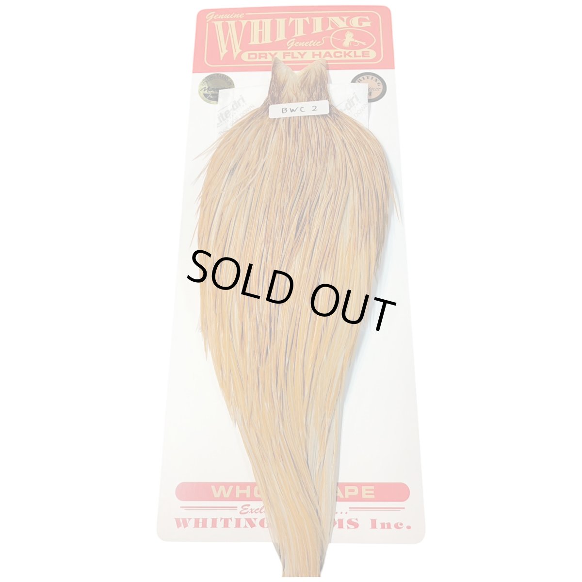 画像1: WHITING　Rooster Cape　ルースターケープ　ハニーダン　Bronze Grade 　BWC2　ホワイティング　 (1)