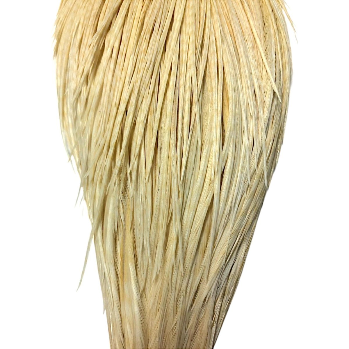 画像3: WHITING Rooster Cape ルースターケープ ライトジンジャー Bronze Grade  BWC15 ホワイティング  (3)