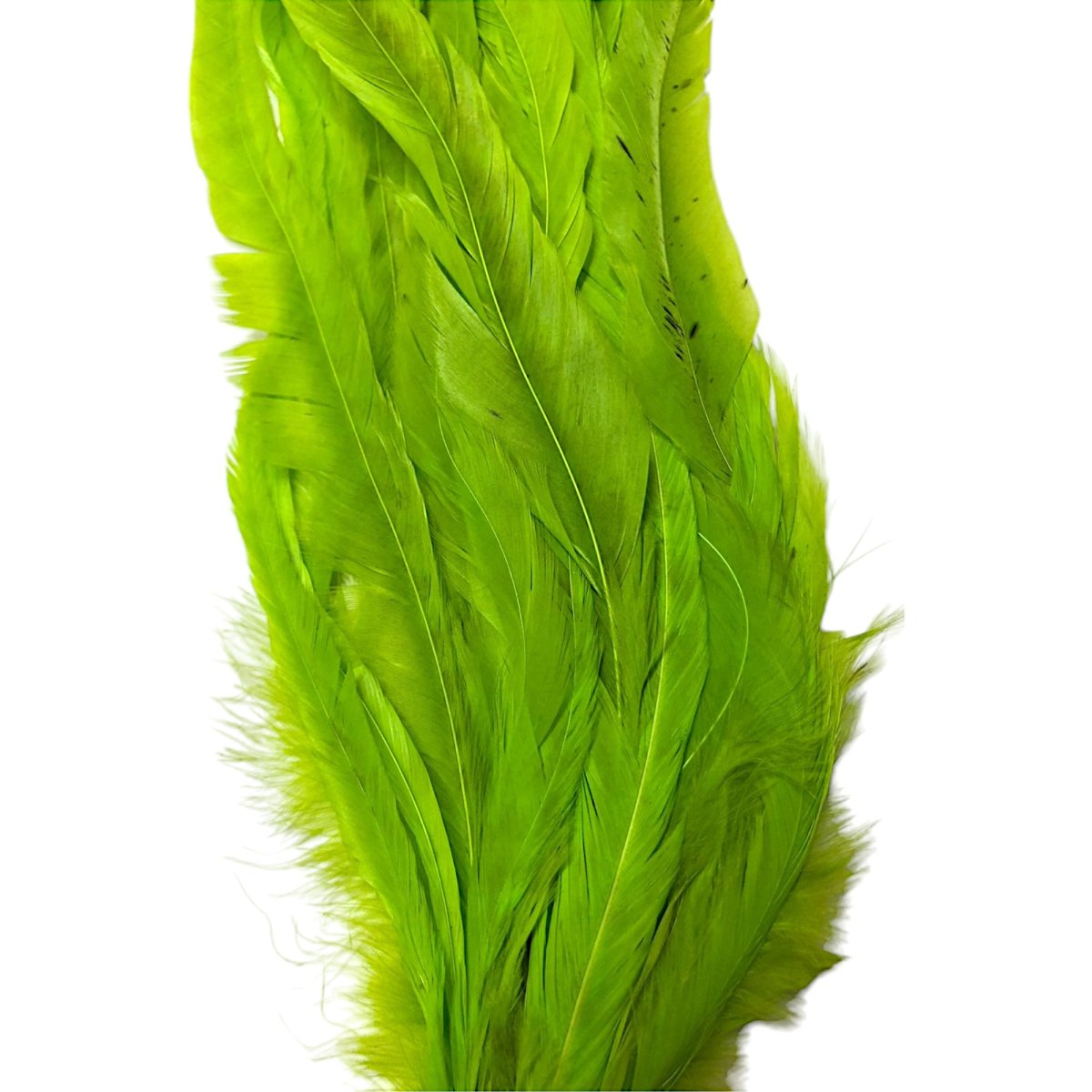 画像4: WHITING  SCHLAPPEN  シュラッペンバンドル10-14 ダイドFLグリーンチャート SCHBD6 ホワイティング  (4)