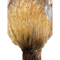 画像4: WHITING　4B　Rooster Cape　ルースターケープ　バリアント　RC1　ホワイティング　 (4)