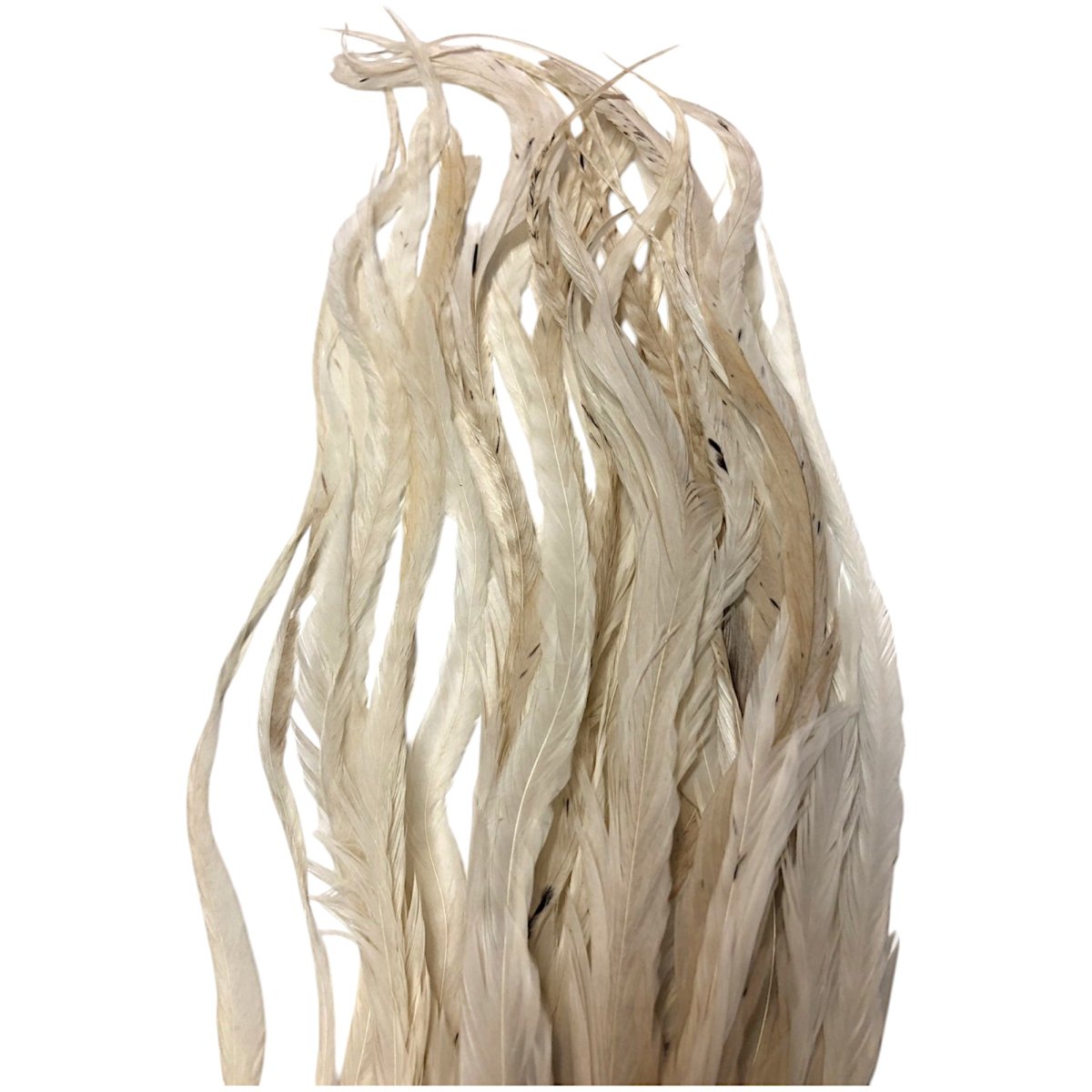 画像3: WHITING  SCHLAPPEN  シュラッペンバンドル10-14 ホワイト SCHBD7 ホワイティング  (3)