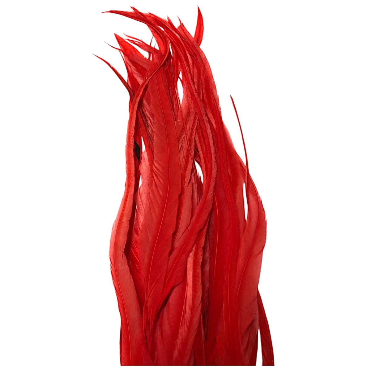 画像3: WHITING  SCHLAPPEN  シュラッペンバンドル10-14 ダイドレッド SCHBD8 ホワイティング  (3)