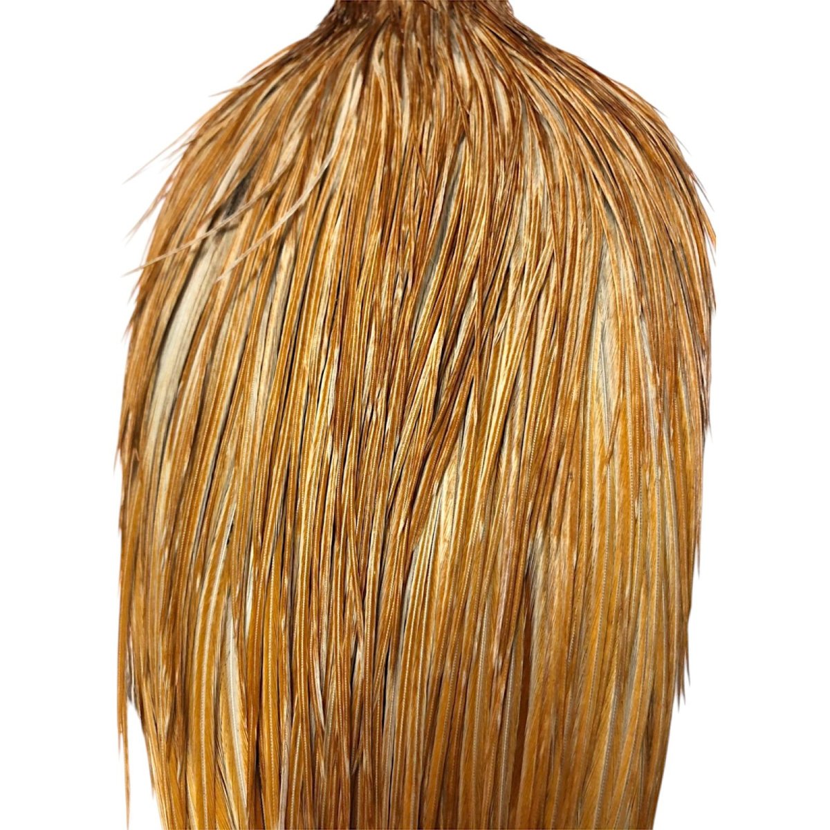 画像2: WHITING Rooster Cape ルースターケープ ハニーダン Bronze Grade  BWC2 ホワイティング  (2)