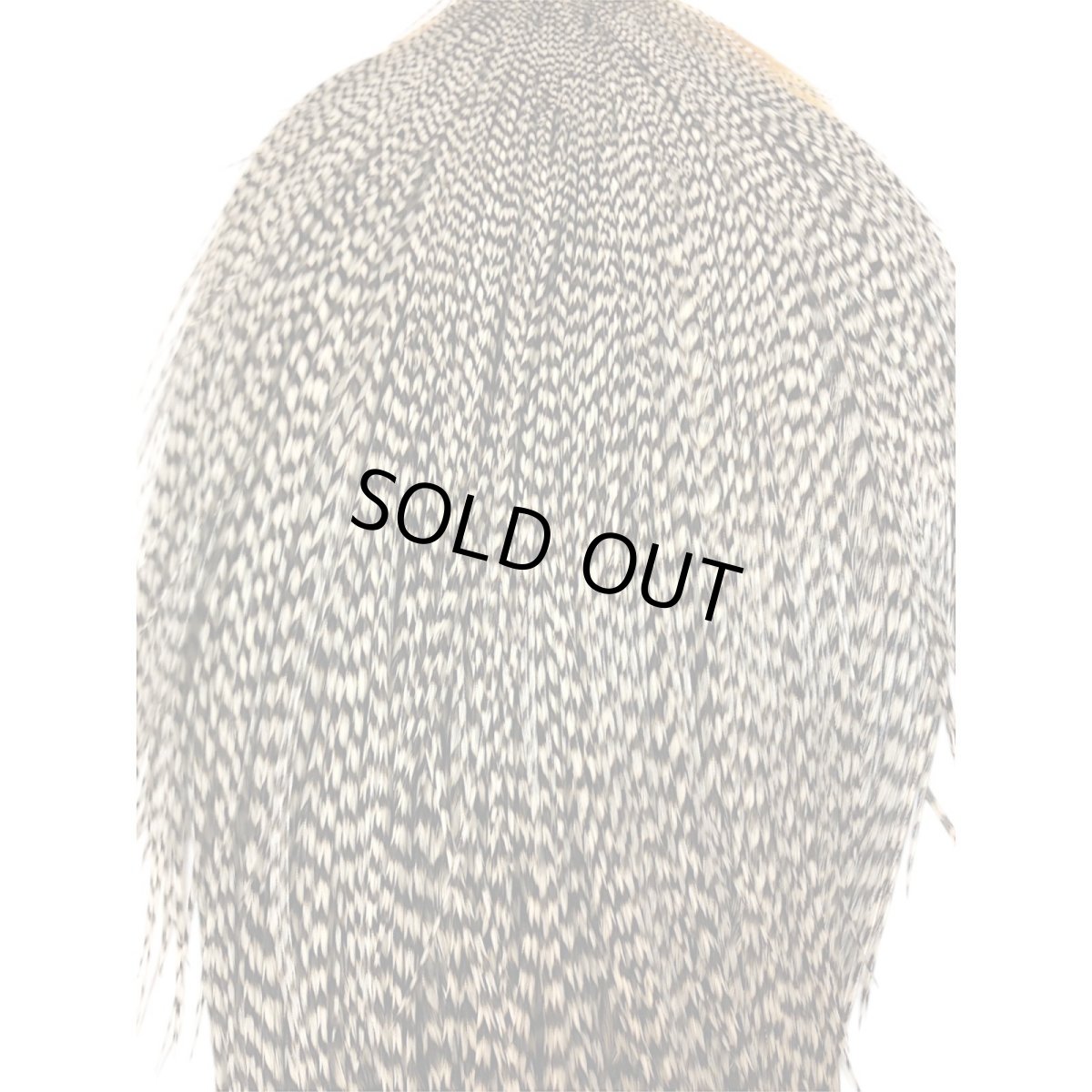 画像2: WHITING Rooster Cape ルースターケープ グリズリー Bronze Grade  BWC5 ホワイティング  (2)