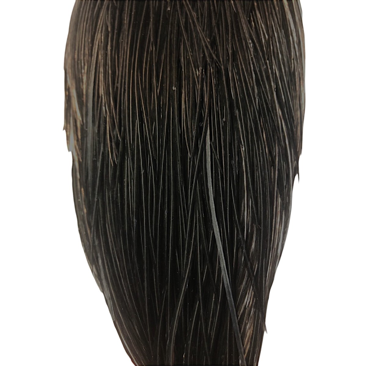 画像3: WHITING Rooster Cape ルースターケープ ブラック Silver Grade  SWC12 ホワイティング  (3)