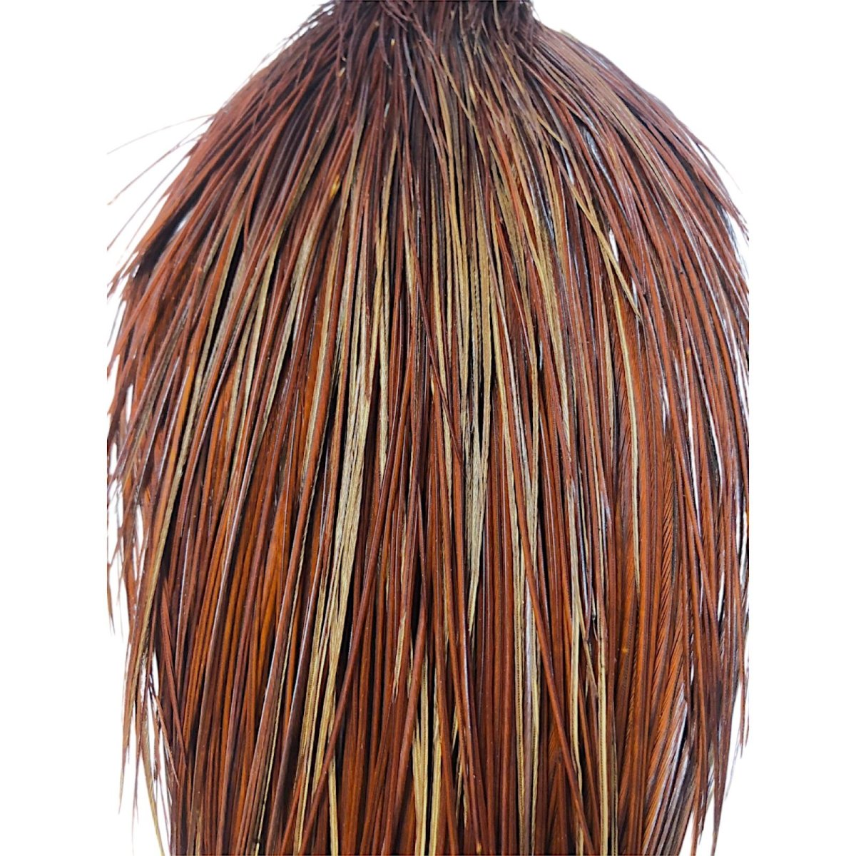 画像2: WHITING Rooster Cape ルースターケープ ブラウン Silver Grade  SWC10 ホワイティング  (2)