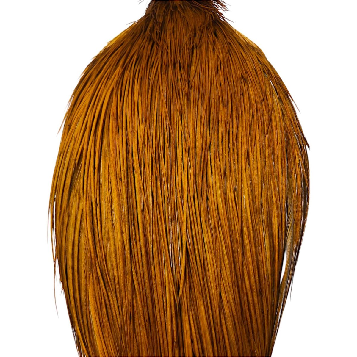 画像2: WHITING Rooster Cape ルースターケープ ダイドブラウン Silver Grade  SWC16 ホワイティング  (2)