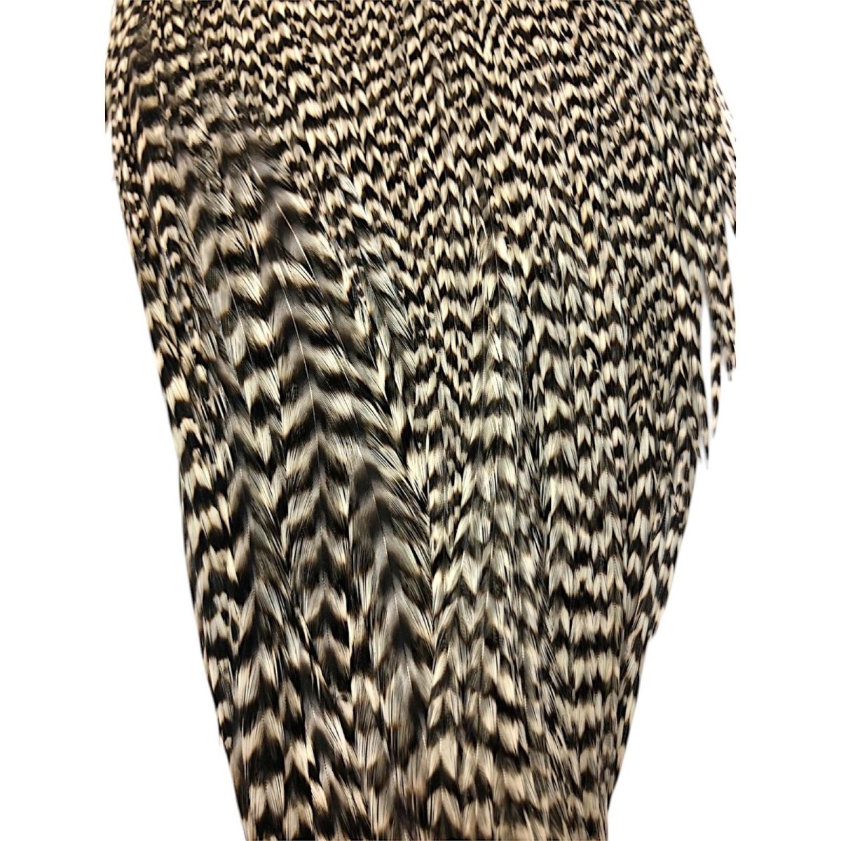 画像3: WHITING Rooster Cape ルースターケープ グリズリー Bronze Grade  BWC6 ホワイティング  (3)