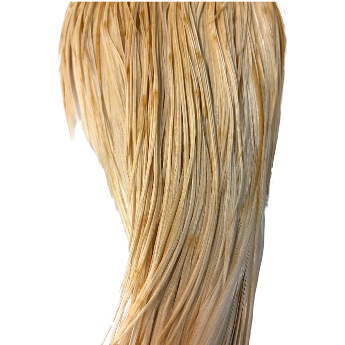 画像3: WHITING Rooster Cape ルースターケープ ライトジンジャー Silver Grade  SWC6 ホワイティング  (3)