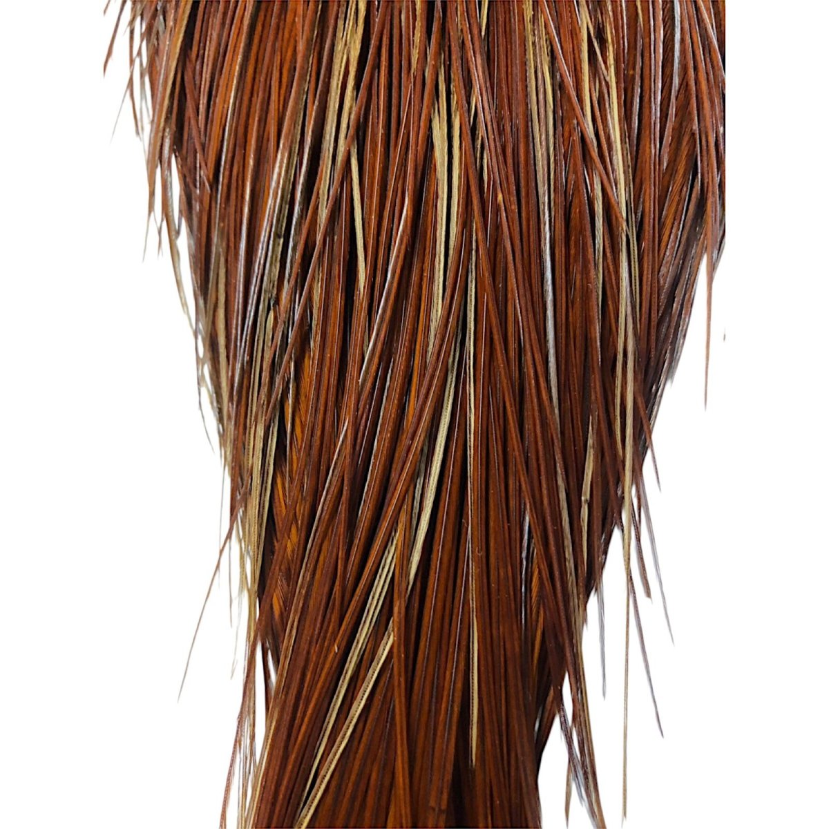 画像3: WHITING Rooster Cape ルースターケープ ブラウン Silver Grade  SWC10 ホワイティング  (3)