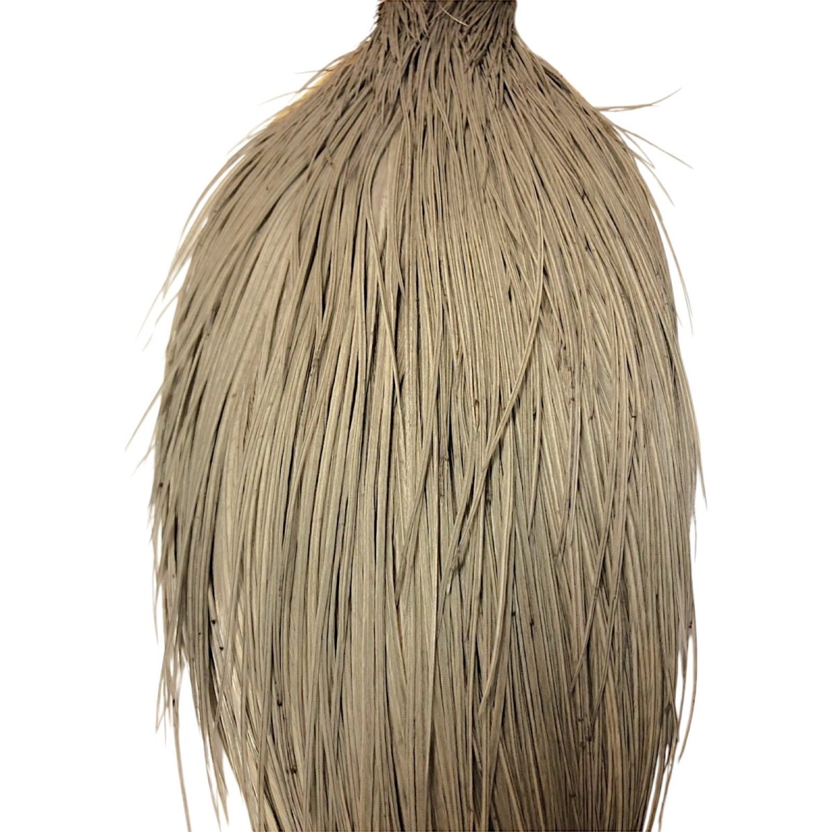 画像2: WHITING Rooster Cape ルースターケープ ダイドミディアムダン Bronze Grade  BWC19 ホワイティング  (2)