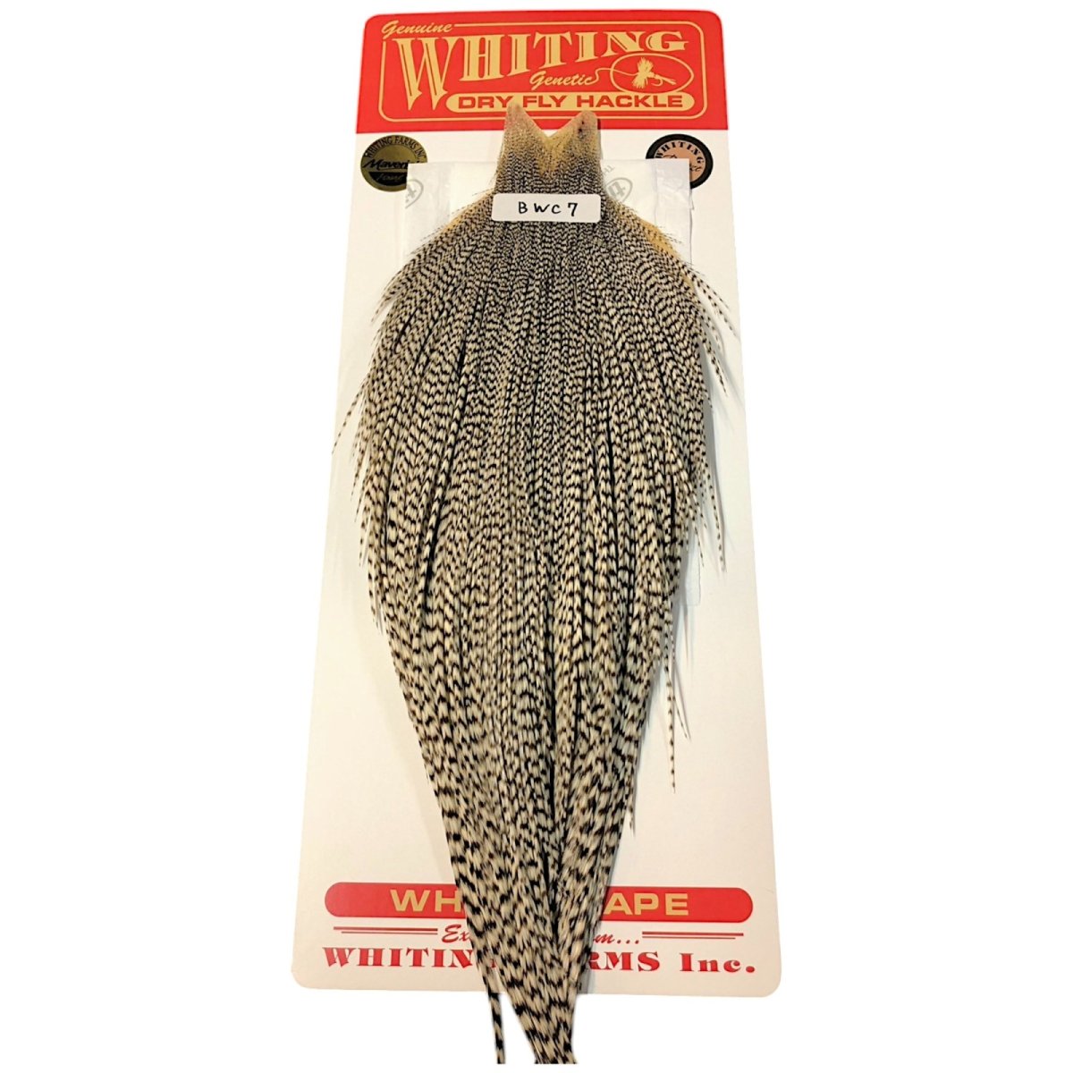 画像1: WHITING　Rooster Cape　ルースターケープ　グリズリー　Bronze Grade 　BWC7　ホワイティング　 (1)