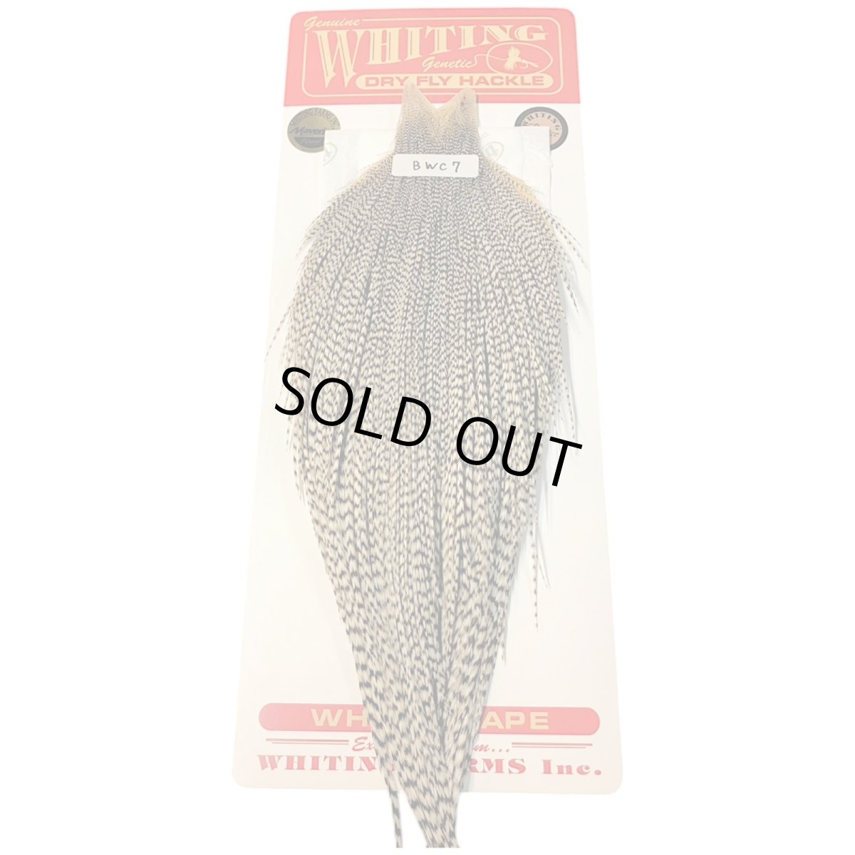 画像1: WHITING　Rooster Cape　ルースターケープ　グリズリー　Bronze Grade 　BWC7　ホワイティング　 (1)