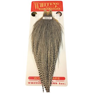 WHITING Rooster Cape ルースターケープ ハニーダン Bronze