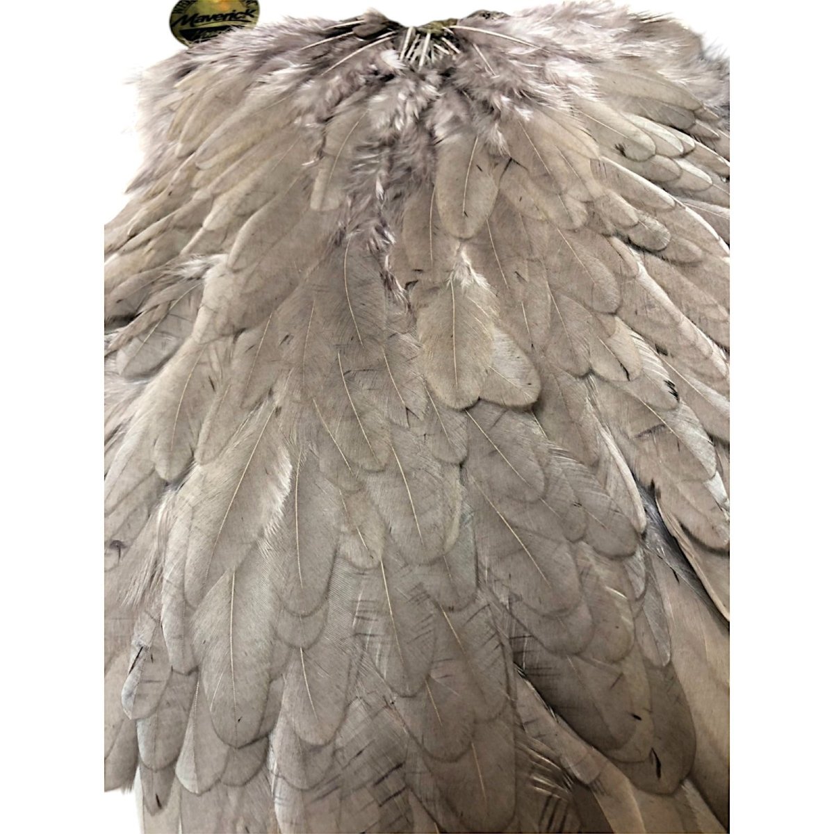 画像2: WHITING Hen Saddle ヘンサドル ミディアムダン HES4 ホワイティング  (2)