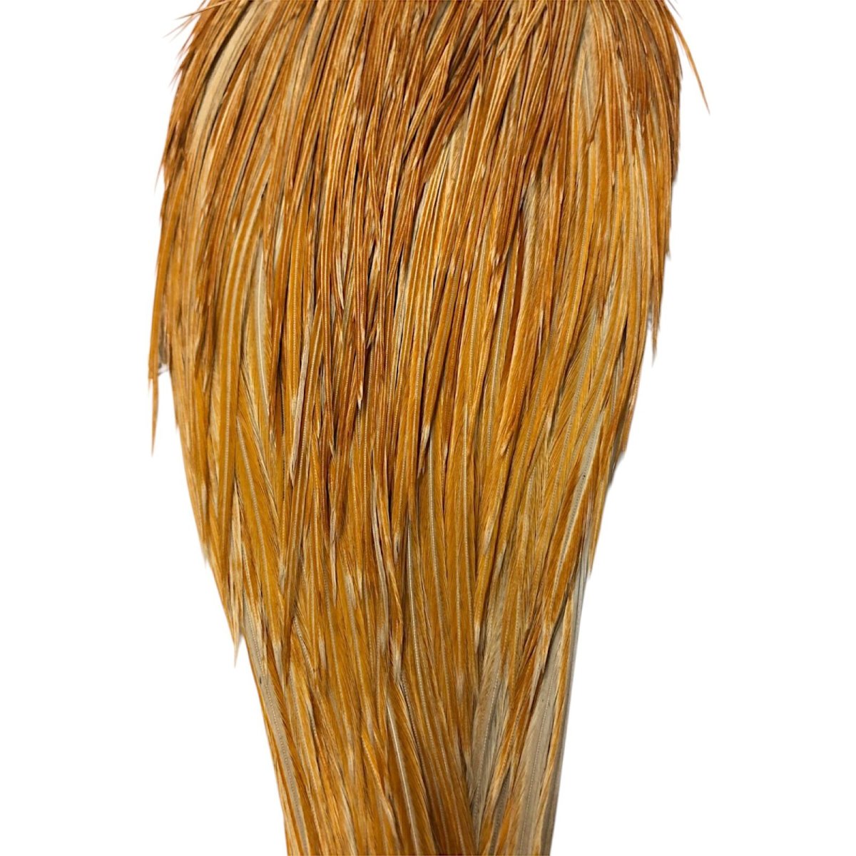 画像3: WHITING Rooster Cape ルースターケープ ハニーダン Bronze Grade  BWC2 ホワイティング  (3)