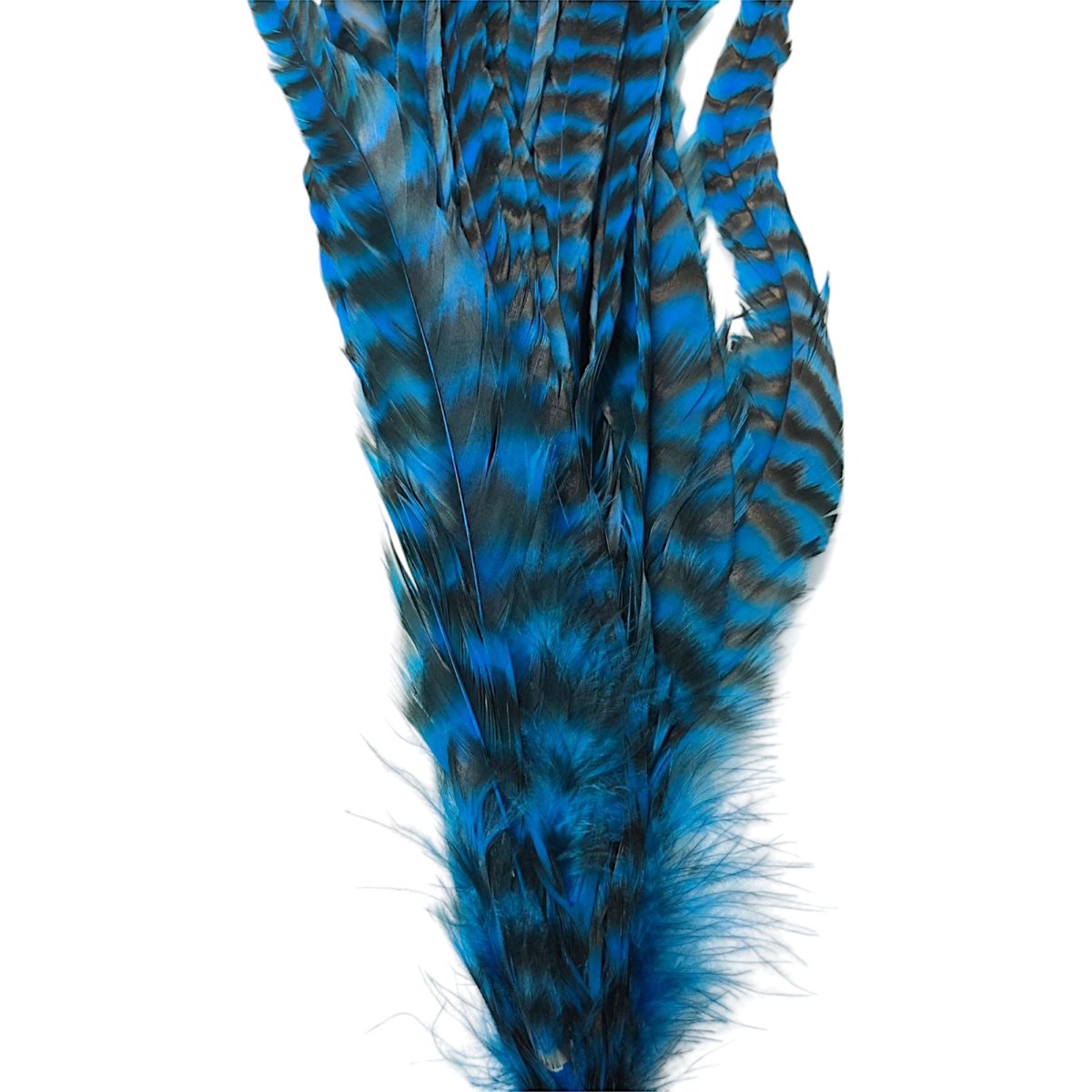 画像4: WHITING  SCHLAPPEN  シュラッペンバンドル10-14 グリズリーキングフィッシャーブルー SCHBD13 ホワイティング  (4)