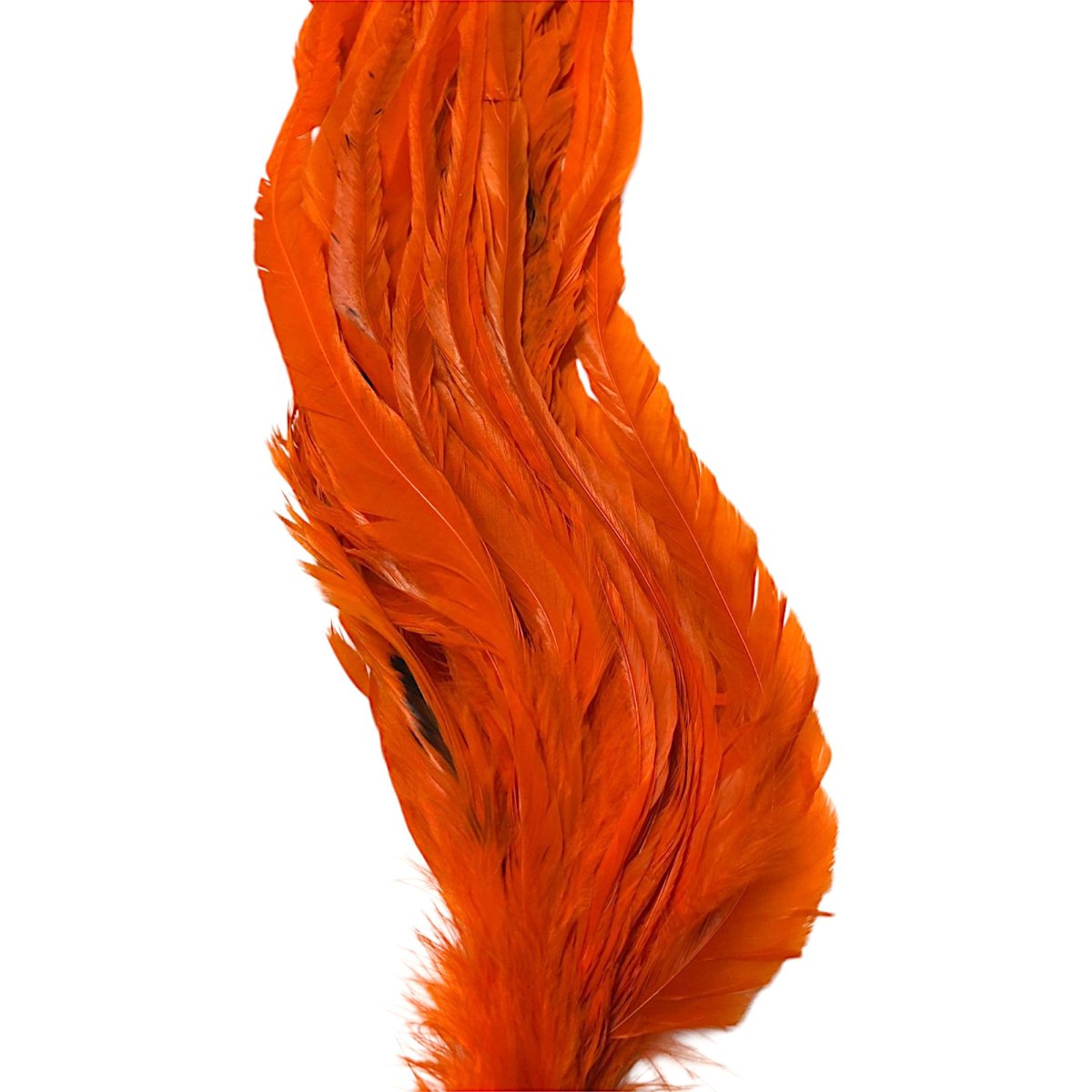 画像4: WHITING  SCHLAPPEN  シュラッペンバンドル10-14 ダイドオレンジ SCHBD5 ホワイティング  (4)