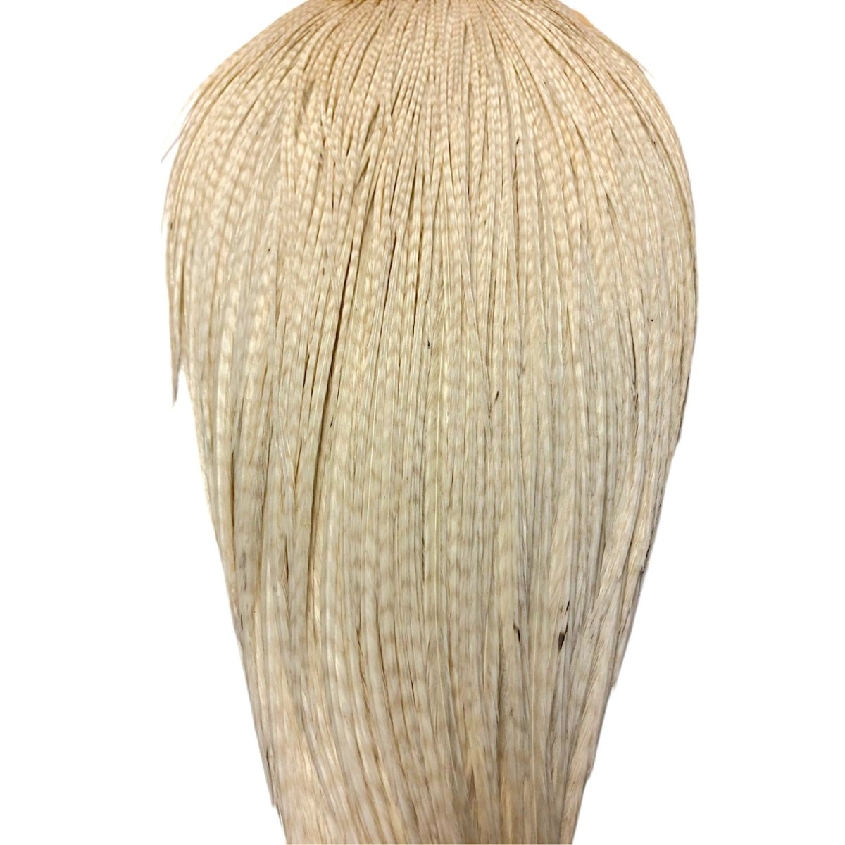 画像2: WHITING Rooster Cape ルースターケープ ホワイト Bronze Grade  BWC9 ホワイティング  (2)